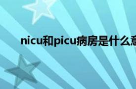 nicu和picu病房是什么意思（nicu病房是什么意思）