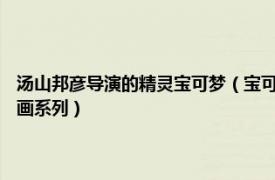 汤山邦彦导演的精灵宝可梦（宝可梦 汤山邦彦等执导、OLM改编的同名动画系列）