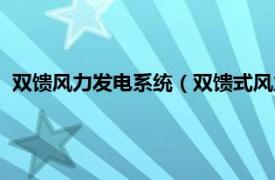 双馈风力发电系统（双馈式风力发电机组柔性并网运行与控制）