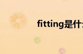 fitting是什么意思（Fitti）