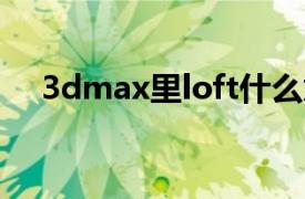 3dmax里loft什么意思（loft什么意思）