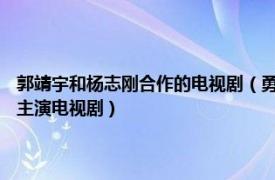 郭靖宇和杨志刚合作的电视剧（勇敢的心 2014年郭靖宇团队、杨志刚领衔主演电视剧）