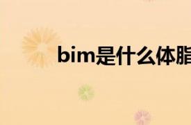 bim是什么体脂率（bim是什么）