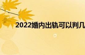 2022婚内出轨可以判几年（婚内出轨可以判几年）