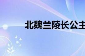 北魏兰陵长公主之死（公主之死）