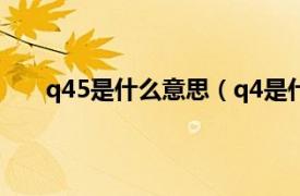 q45是什么意思（q4是什么意思相关内容简介介绍）