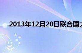 2013年12月20日联合国大会第六十八届会议决定宣布