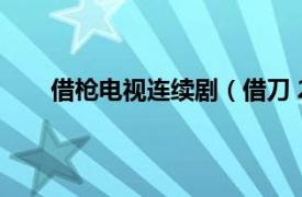 借枪电视连续剧（借刀 2003年陈晓雷执导电视剧）