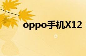 oppo手机X12（OPPO X1 2GB）