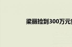 梁丽捡到300万元黄金案（梁丽捡金案）