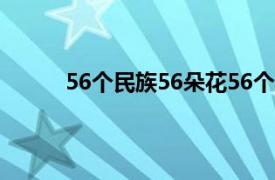 56个民族56朵花56个兄弟姐妹是一家是什么歌