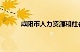 咸阳市人力资源和社会保障局养老保险科科长