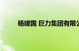 杨建国 巨力集团有限公司（巨力集团有限公司）