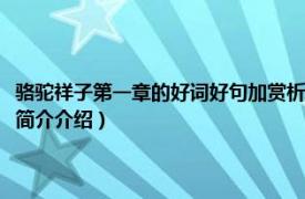 骆驼祥子第一章的好词好句加赏析（骆驼祥子第一章中的好词好句相关内容简介介绍）