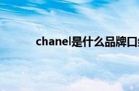 chanel是什么品牌口红（chanel是什么品牌）