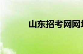 山东招考网网址（山东招考网）