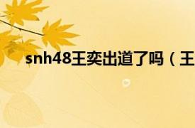 snh48王奕出道了吗（王奕 中国女歌手SNH48成员）