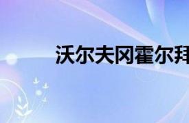 沃尔夫冈霍尔拜恩（赞恩霍尔茨）