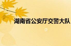 湖南省公安厅交警大队（湖南省公安厅交警总队）