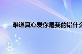 难道真心爱你是我的错什么歌（难道真心爱你是我的错）