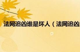 法网追凶谁是坏人（法网追凶里面老大是谁相关内容简介介绍）