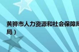 黄骅市人力资源和社会保障局邮编（黄骅市人力资源和社会保障局）