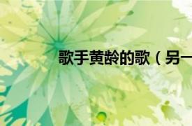 歌手黄龄的歌（另一种开始 黄龄演唱歌曲）