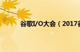 谷歌I/O大会（2017谷歌I/O全球开发者大会）