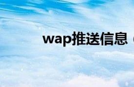 wap推送信息（WAP推送技术）