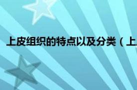 上皮组织的特点以及分类（上皮组织的特点相关内容简介介绍）