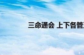 三命通会 上下各管五年（三命通会 上下）