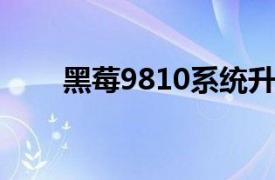 黑莓9810系统升级（黑莓98104G）