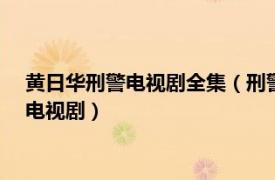 黄日华刑警电视剧全集（刑警 2010年苗侨伟、黄日华主演TVB电视剧）