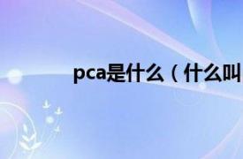 pca是什么（什么叫pca相关内容简介介绍）