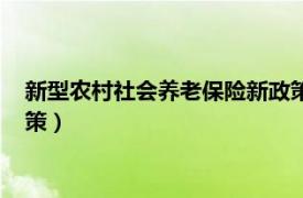 新型农村社会养老保险新政策宣传（新型农村社会养老保险新政策）