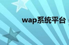 wap系统平台（WAP业务平台）