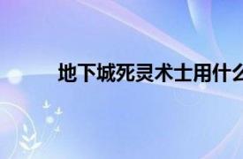 地下城死灵术士用什么武器（地下城死灵术士）