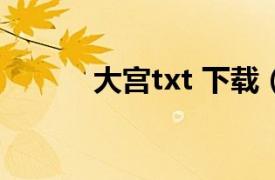 大宫txt 下载（大宫 文学作品）