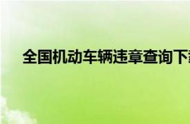 全国机动车辆违章查询下载（全国机动车辆违章查询）