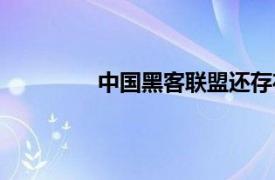 中国黑客联盟还存在吗（中国黑客联盟）