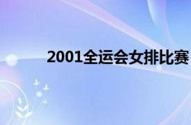 2001全运会女排比赛（2001年全运会女排赛）