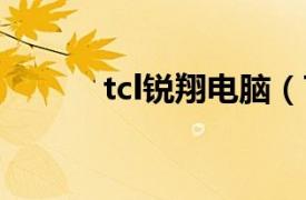 tcl锐翔电脑（TCL 锐翔 T366）