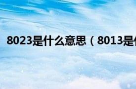 8023是什么意思（8013是什么意思啊相关内容简介介绍）