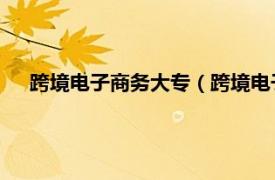 跨境电子商务大专（跨境电子商务 中国中等职业教育专业）