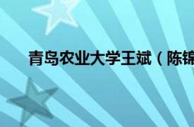 青岛农业大学王斌（陈锦铭 青岛农业大学法学教授）