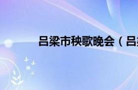 吕梁市秧歌晚会（吕梁市离石区秧歌艺术团）