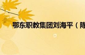 鄂东职教集团刘海平（陈海秀 鄂东职院人事处处长）