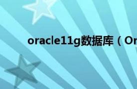 oracle11g数据库（Oracle10g数据库系统管理）