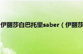 伊丽莎白巴托里saber（伊丽莎白巴托里 《Fate》系列中的角色）