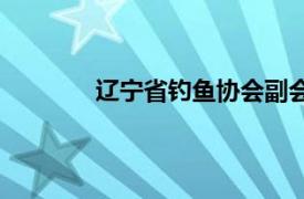 辽宁省钓鱼协会副会长（辽宁省钓鱼协会）